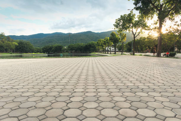 Best Residential Paver Driveway  in Janesville, MN